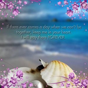 Meet your Posher, Frankie